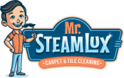 Mr. Steam Lux Carpet & Tile Cleaning